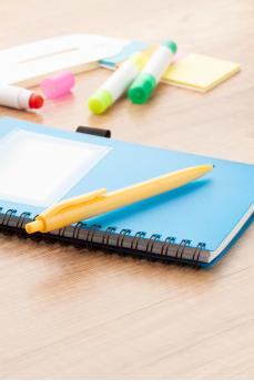 Шариковая ручка NTEU5-561