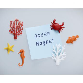 Магниты Ocean Ecology