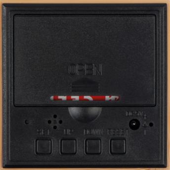 Настольные часы с светодиодным дисплеем NTEU9-171925