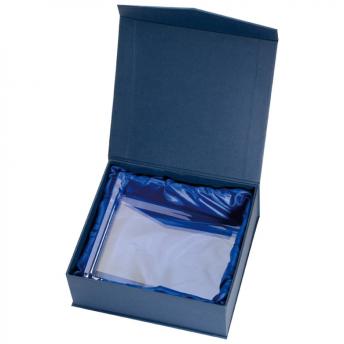 Стеклянный  трофей NTEU9-34045