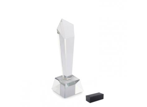 Награда NTEU13-706551