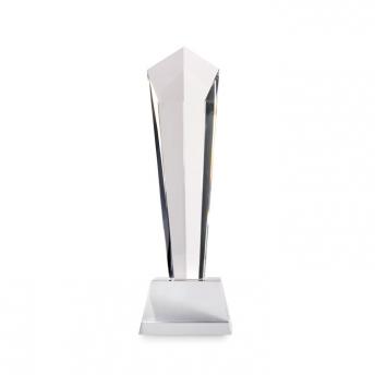 Награда NTEU13-706551