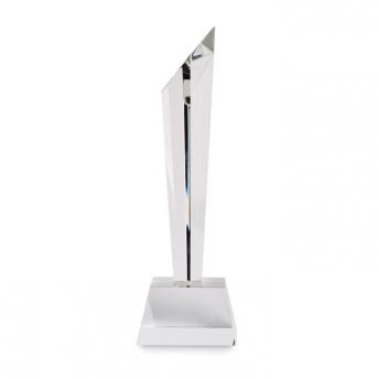 Награда NTEU13-706551