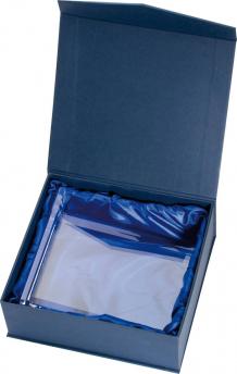 Стеклянный  трофей NTEU9-34045