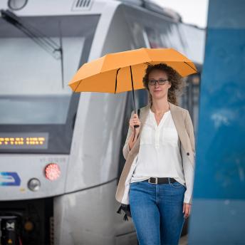 Мини-зонт NTEU22-580470